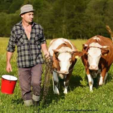 Are you livestock ready? Part One