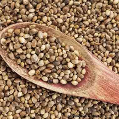 Tips for saving seeds on your hobby farm