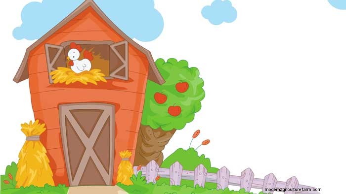 Time Saving Tips for Chicken Keepers