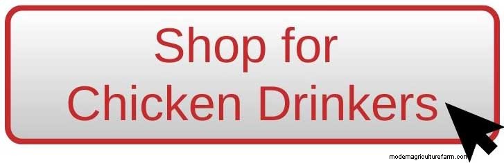 Time Saving Tips for Chicken Keepers