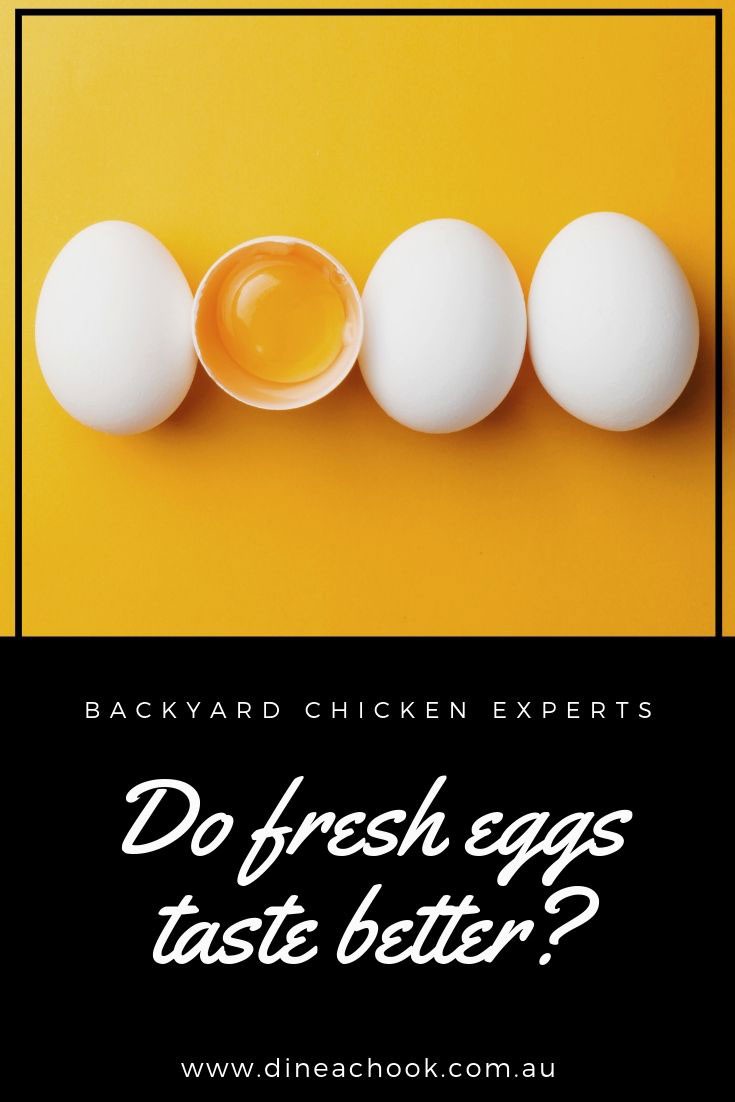 Do Fresh Eggs Taste Better?
