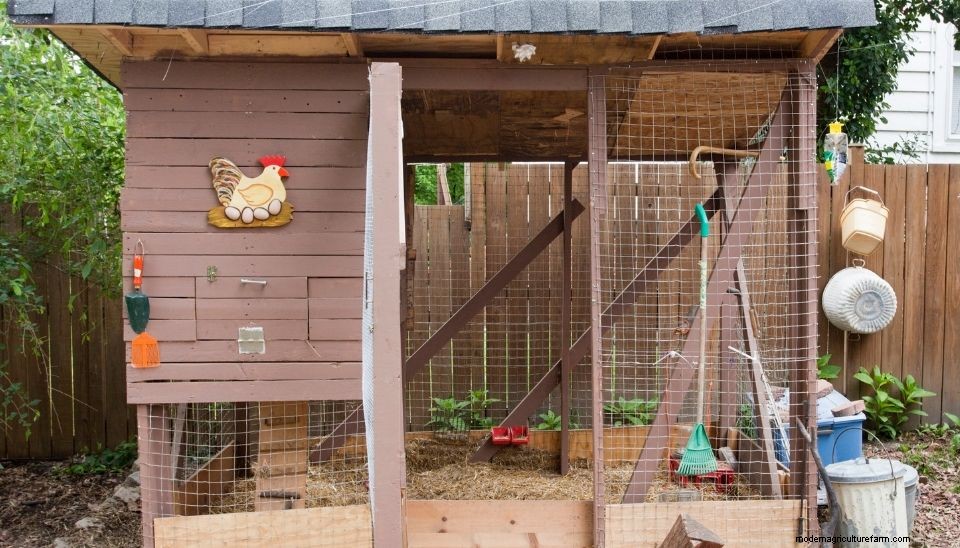 How to Prevent a Muddy Chicken Run