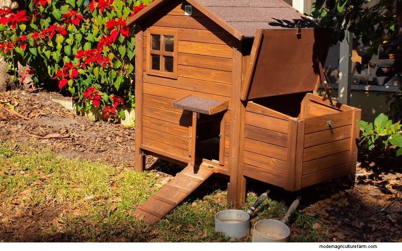 How to Prevent a Muddy Chicken Run