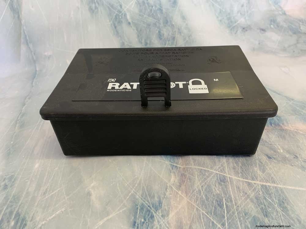 How to get rid of rats in the chicken coop