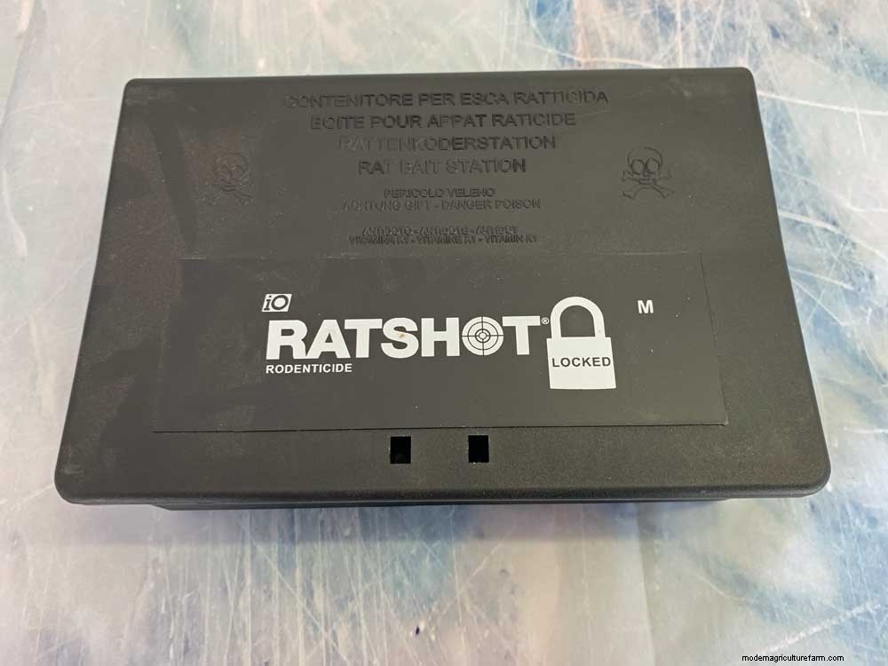 How to get rid of rats in the chicken coop