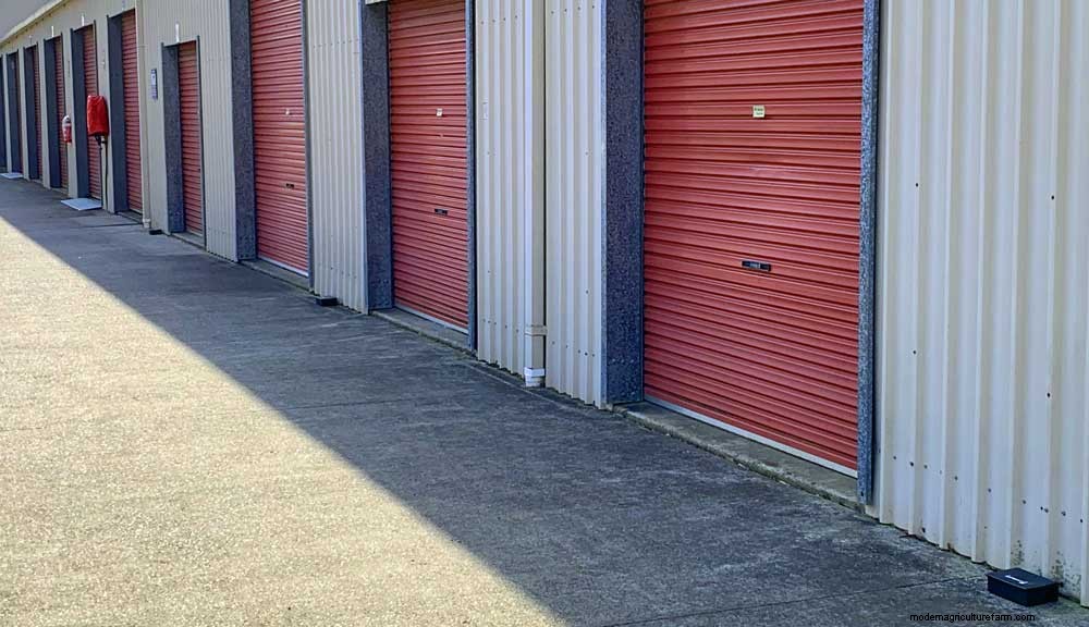 How to get rid of rats in the chicken coop