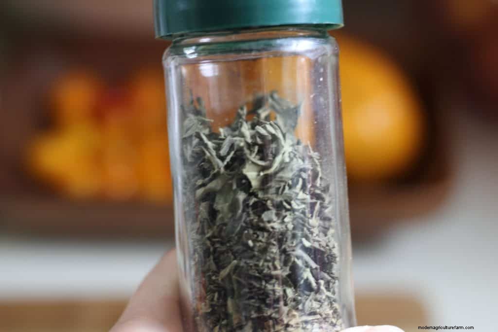 How to Dry Fresh Basil