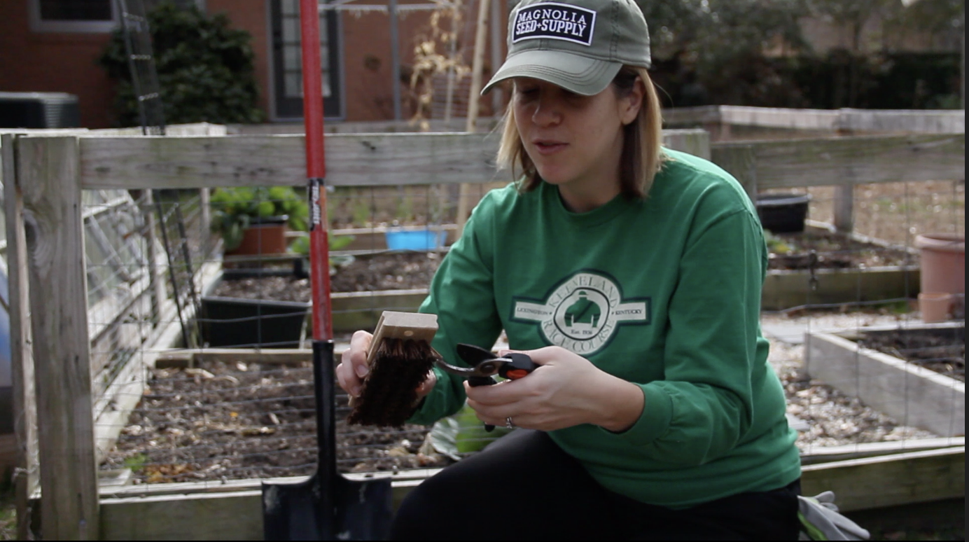 How to Clean Garden Tools