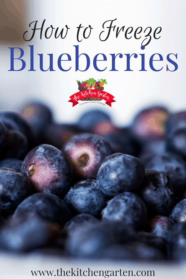How to Freeze Blueberries
