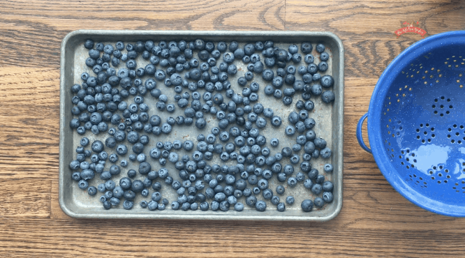 How to Freeze Blueberries