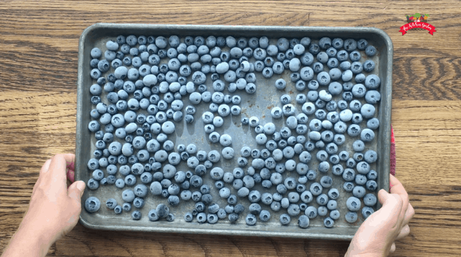 How to Freeze Blueberries