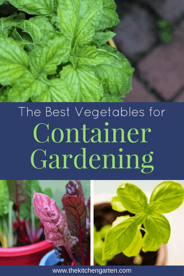 The Best Vegetables for Container Gardening