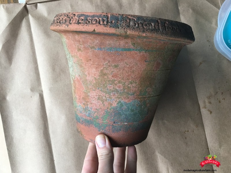 DIY Painted Striped Flower Pot