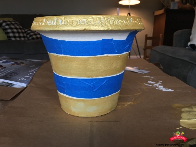 DIY Painted Striped Flower Pot