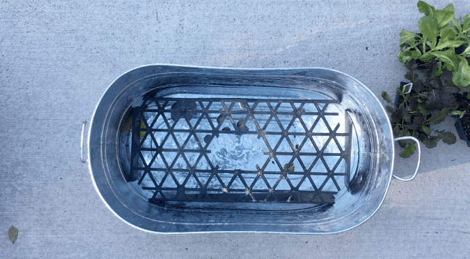 DIY Self-Watering Planter