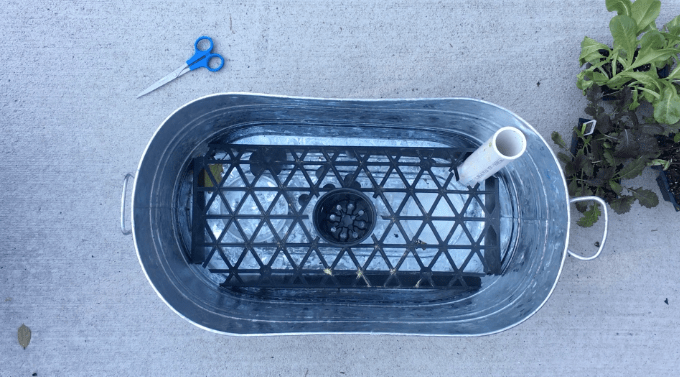 DIY Self-Watering Planter