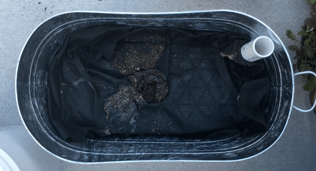 DIY Self-Watering Planter