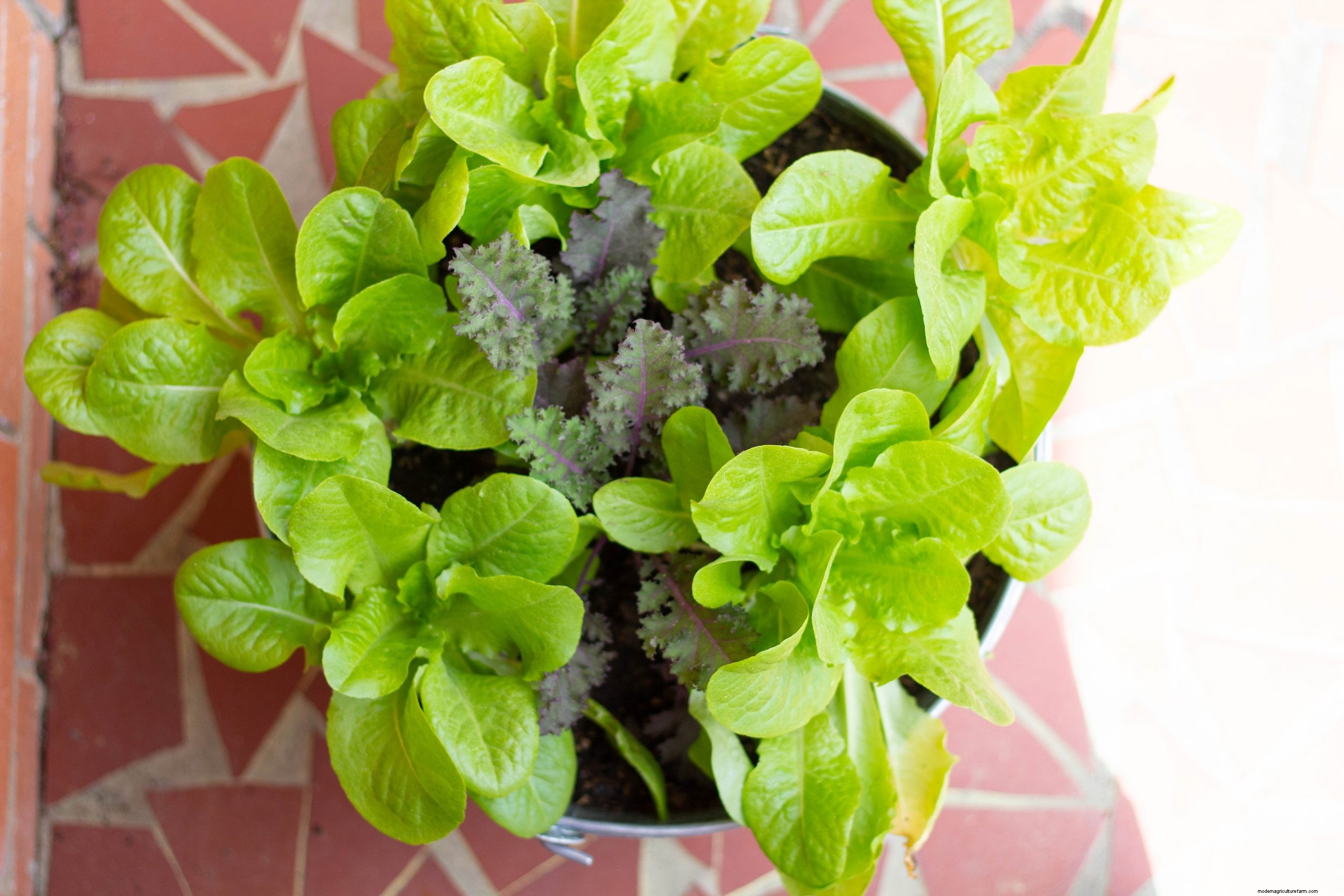 Handmade Christmas Gifts