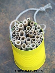 10 Fun Gardening Activities for Kids