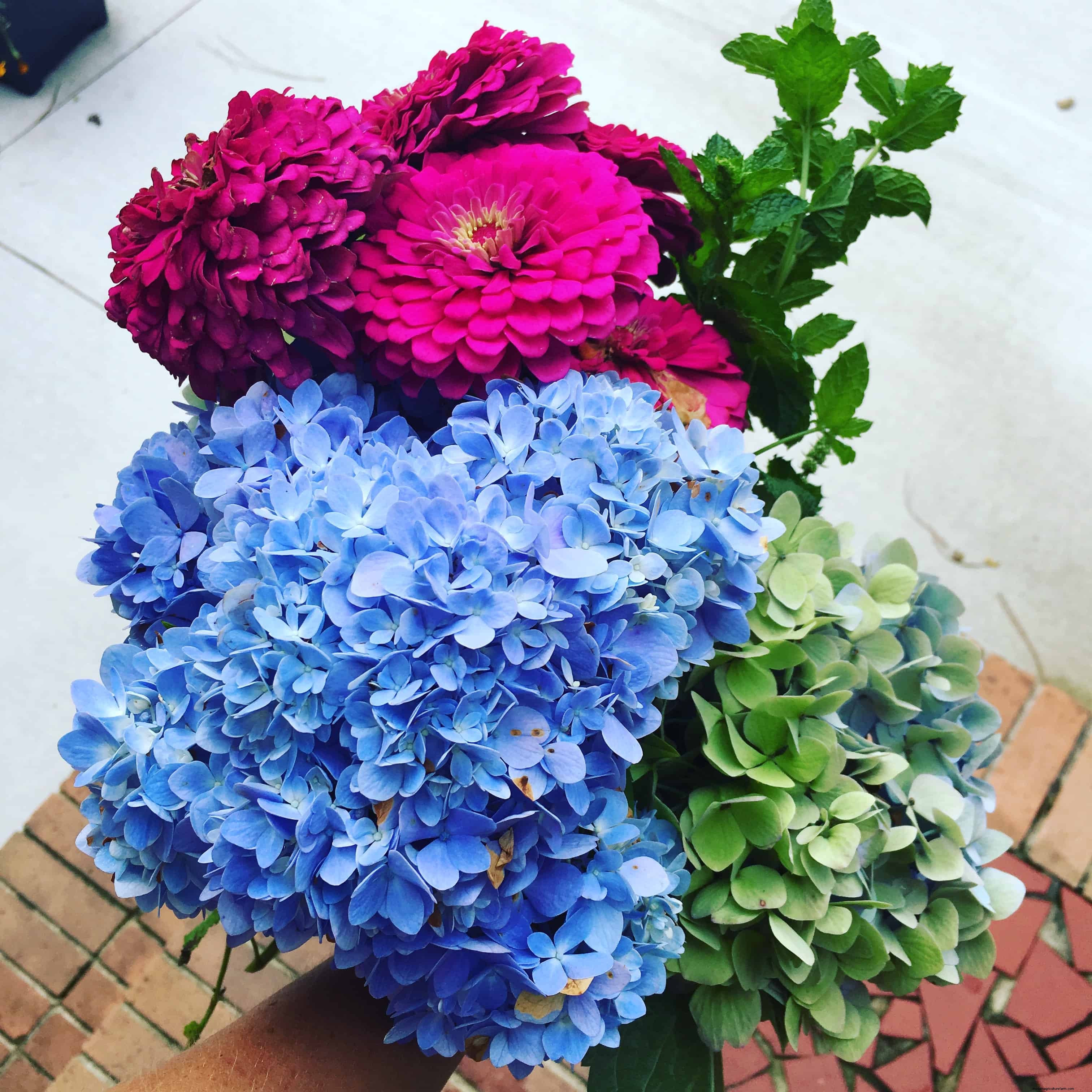 How to Plan a Gorgeous Cutting Garden