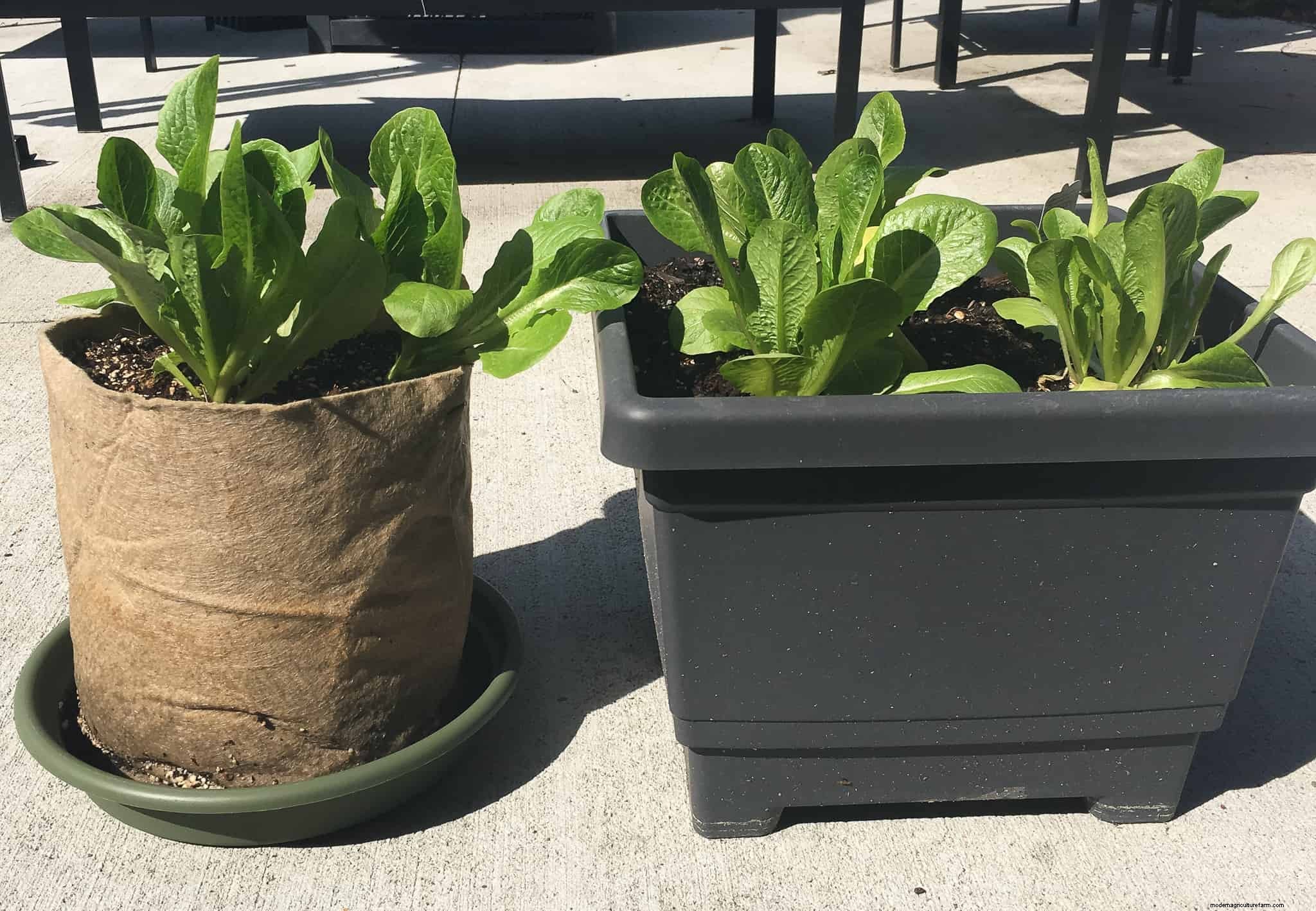 Spiked Soil Kit Review (and a coupon!)