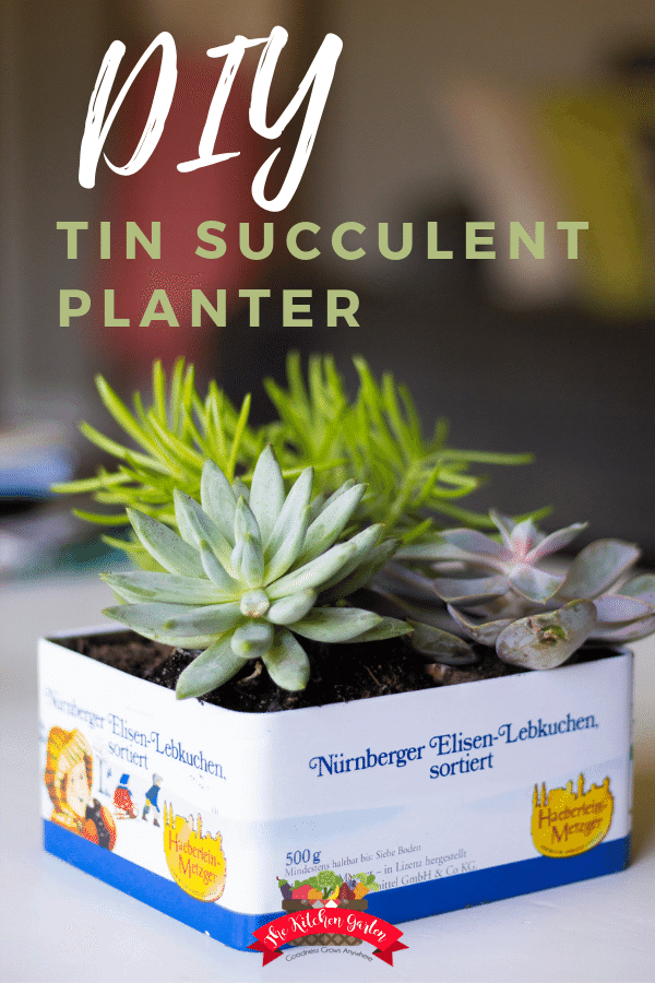 DIY Tin Succulent Planter