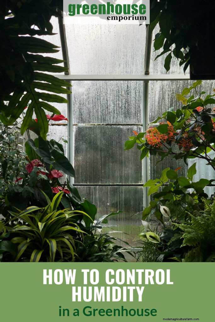 How To Control Humidity In A Greenhouse
