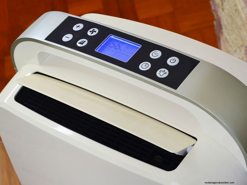 How To Control Humidity In A Greenhouse