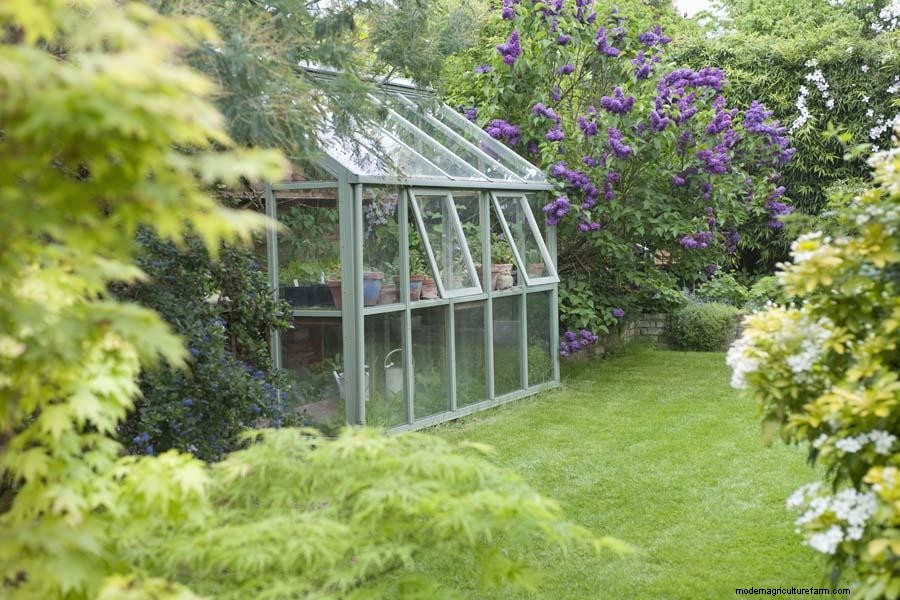Rhino Greenhouse Review – How good is it really?