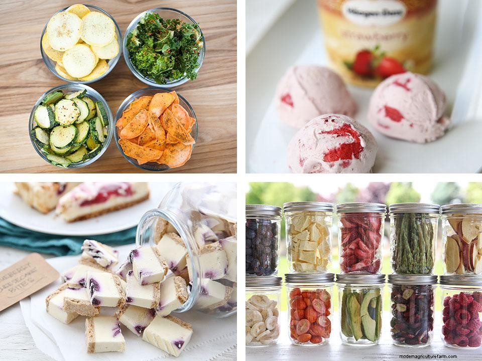 Is Freeze-Drying The Best Food Preservation Method?