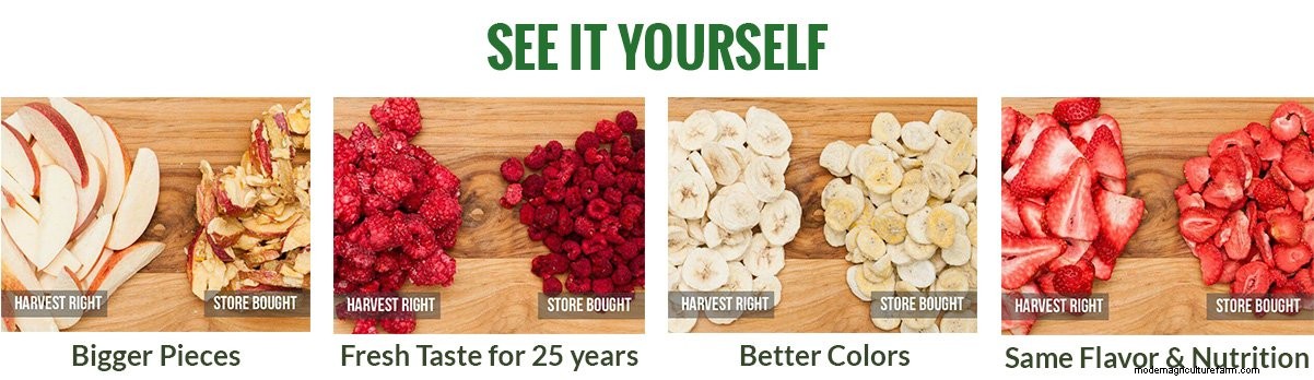 Is Freeze-Drying The Best Food Preservation Method?