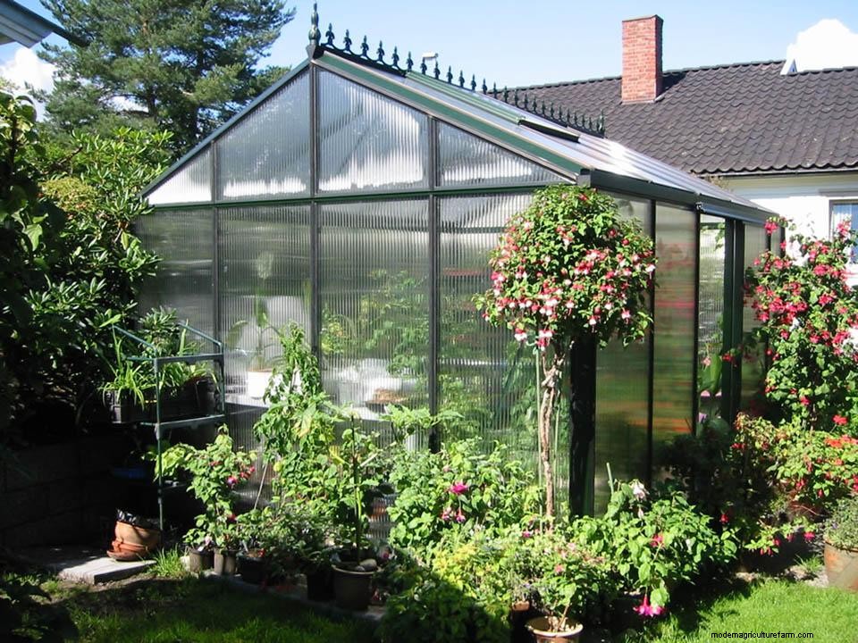 Janssens Royal Victorian Greenhouse Review