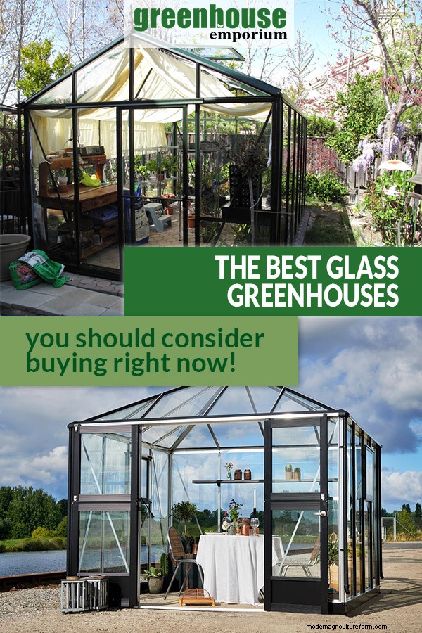 Best Glass Greenhouses