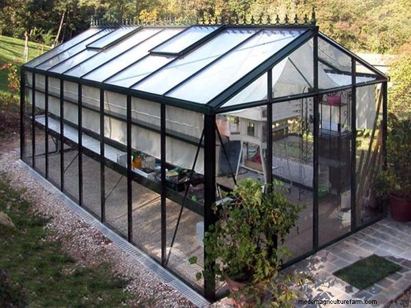 Best Glass Greenhouses