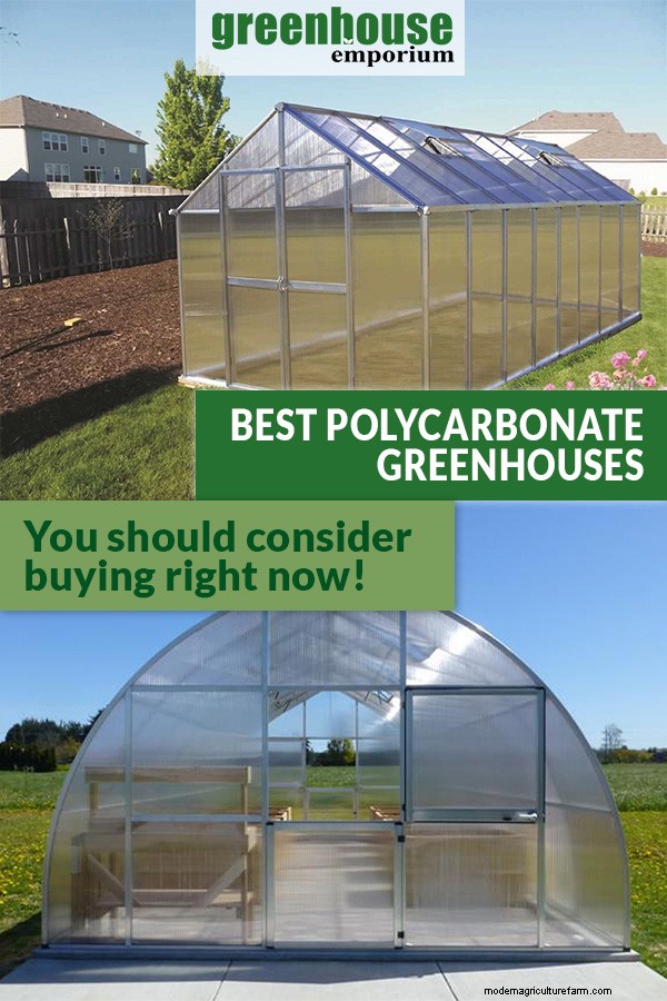 Best Polycarbonate Greenhouse Kits