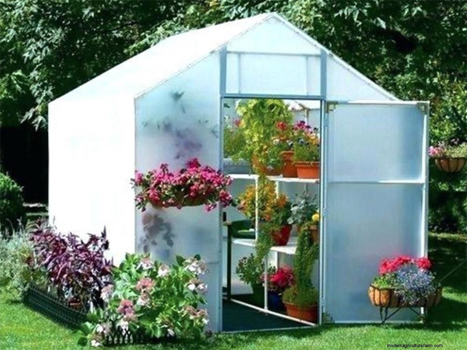 Best Polycarbonate Greenhouse Kits