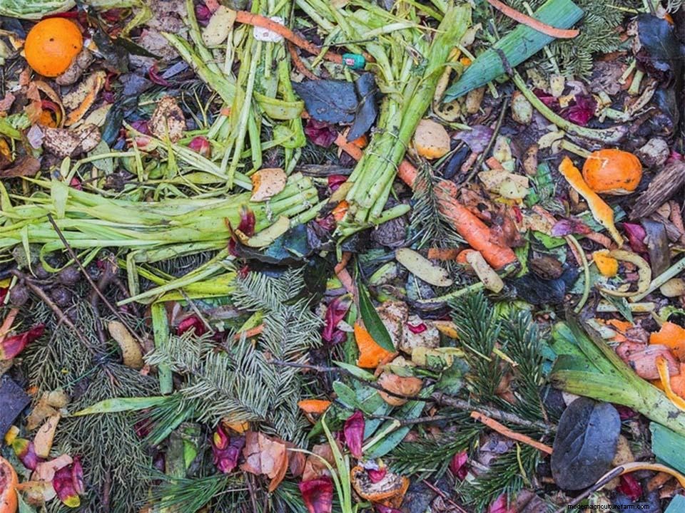 Can You Start Composting in Urban Areas?