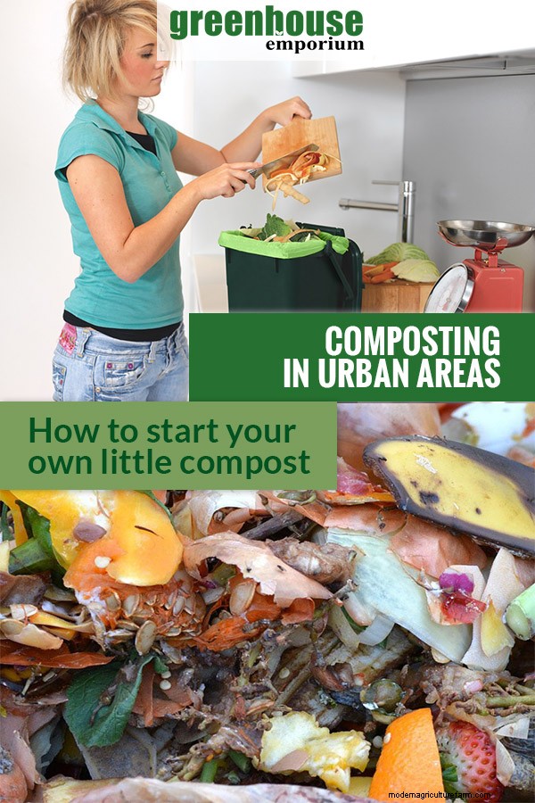 Can You Start Composting in Urban Areas?