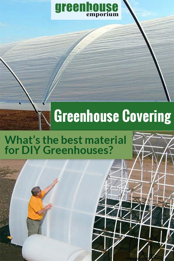Best Greenhouse Covering Materials for DIY Greenhouses