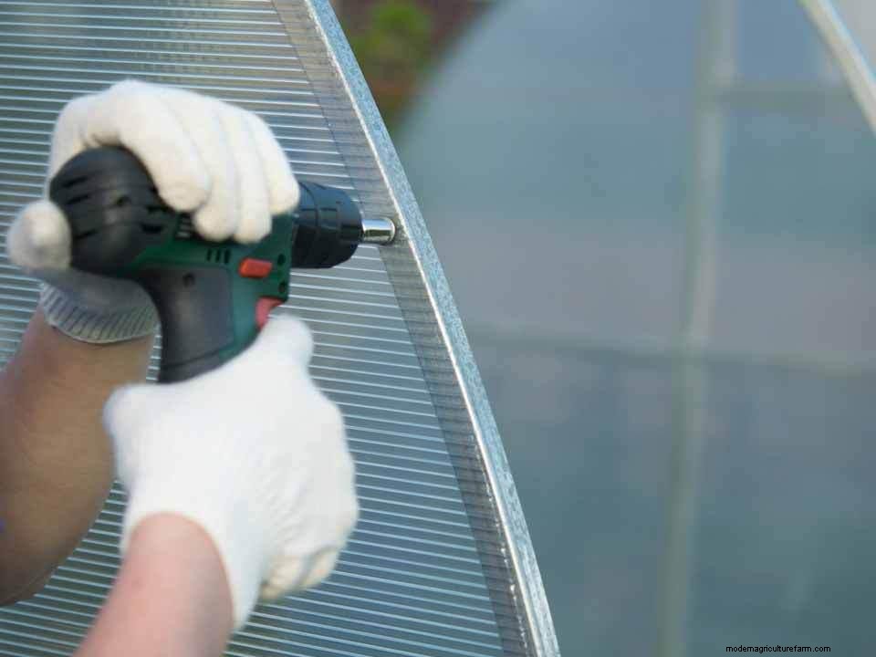 Best Greenhouse Covering Materials for DIY Greenhouses