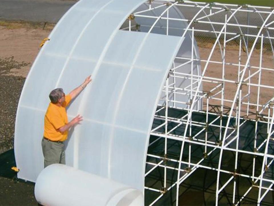 Best Greenhouse Covering Materials for DIY Greenhouses