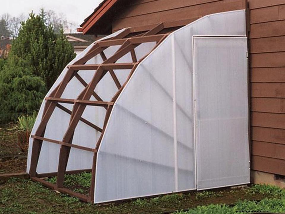 Best Greenhouse Covering Materials for DIY Greenhouses