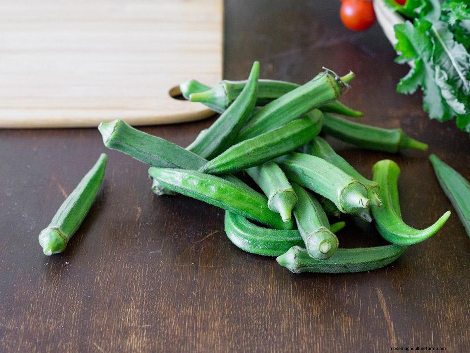 42 Easy To Grow Greenhouse Plants For Beginners