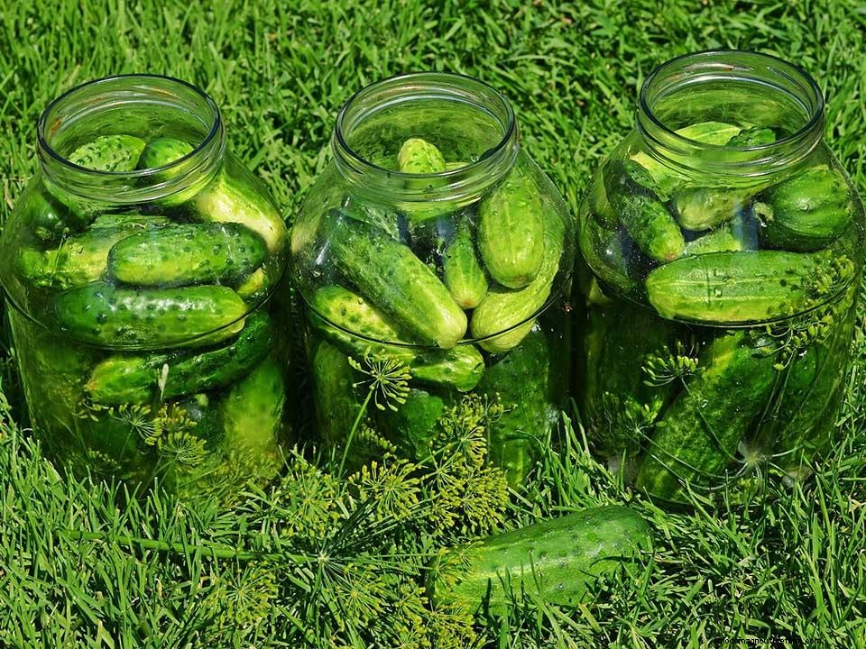 42 Easy To Grow Greenhouse Plants For Beginners