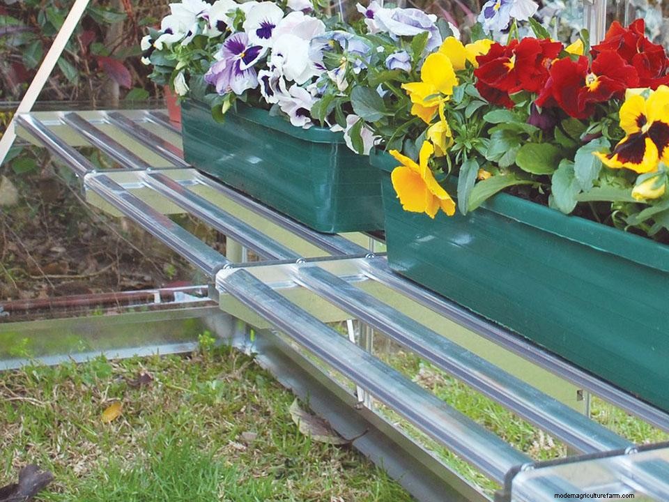 How Do I Clean My Greenhouse & How Often?