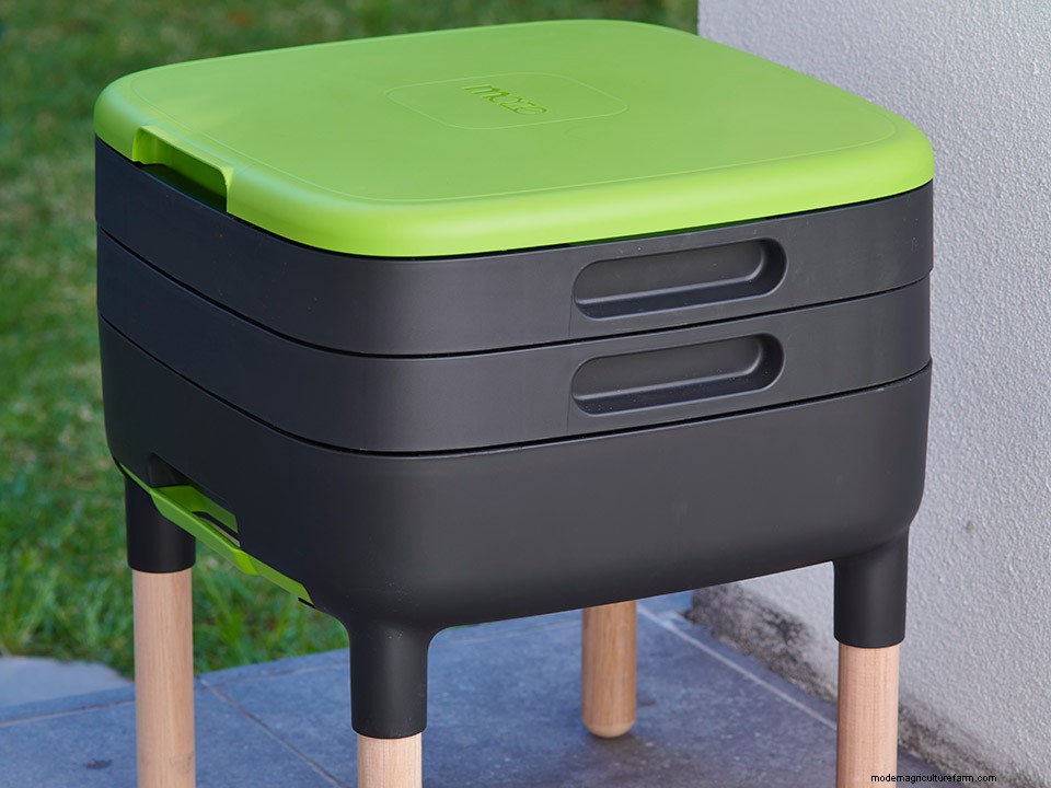 How to Start a Worm Farm for Your Greenhouse