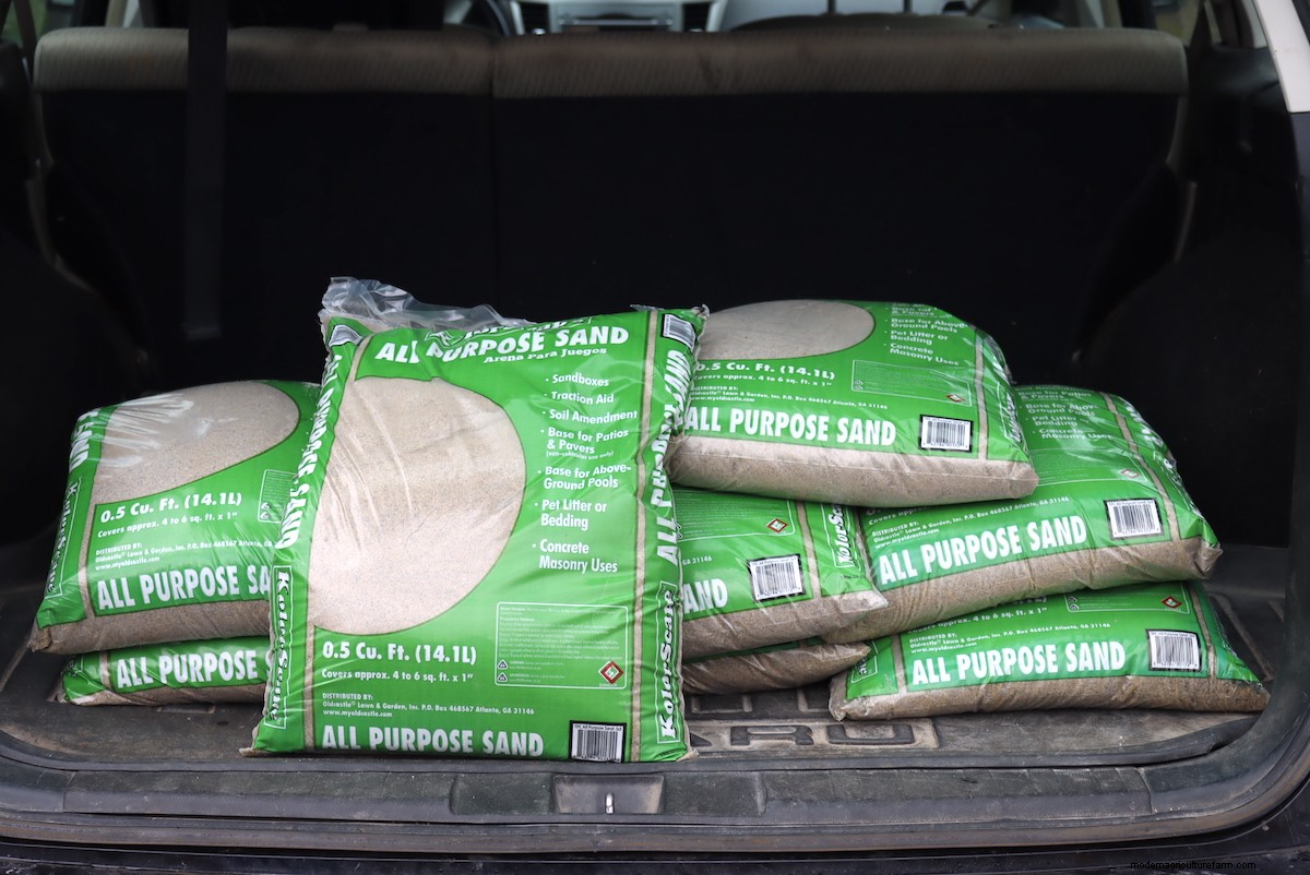 Growing Eastern Prickly Pear Cactus (Hardy to Zone 4)