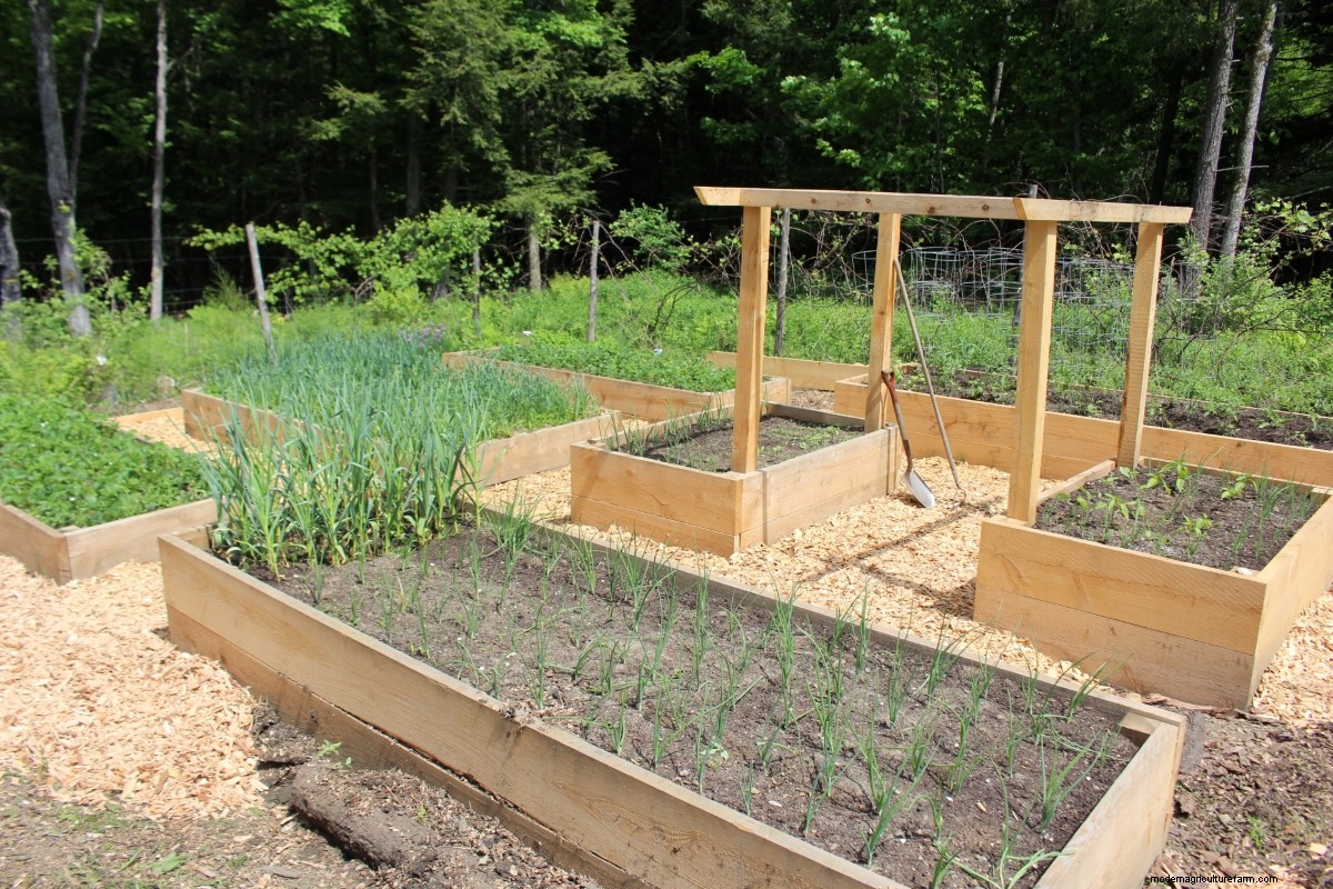 Gardening with Wood Chips