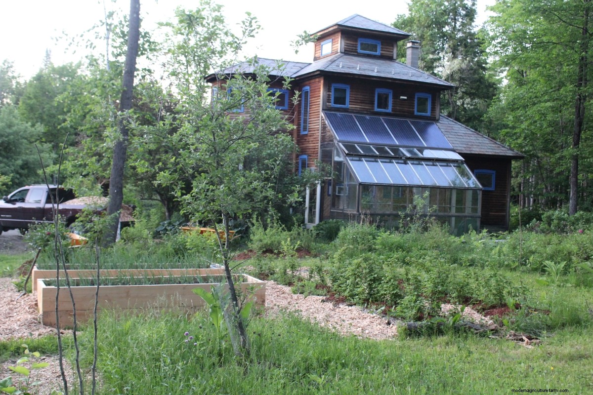 Gardening with Wood Chips