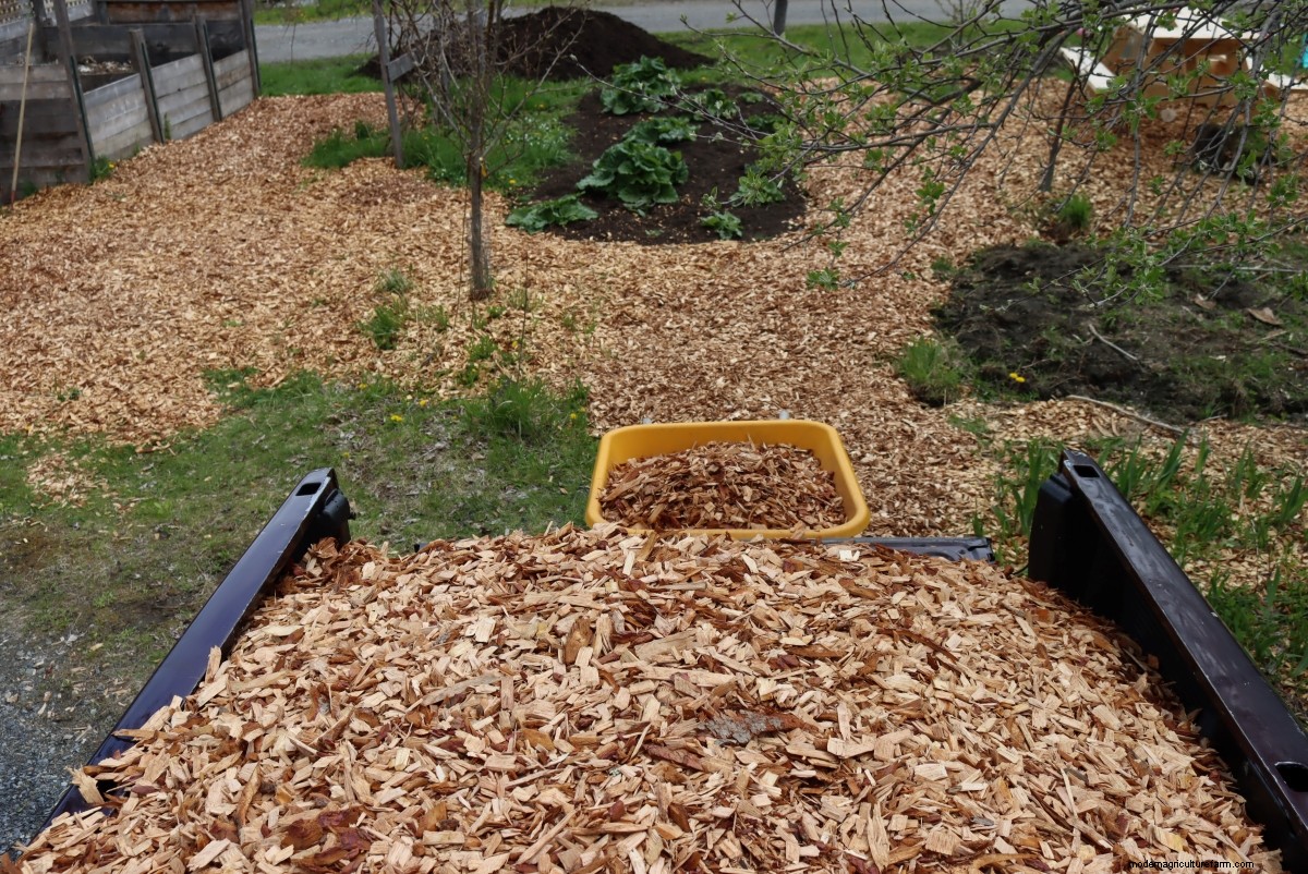 Gardening with Wood Chips